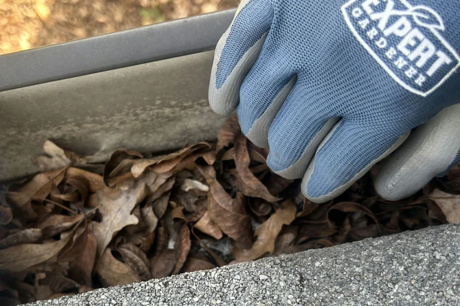 Gutter Cleaning Richmond, TX