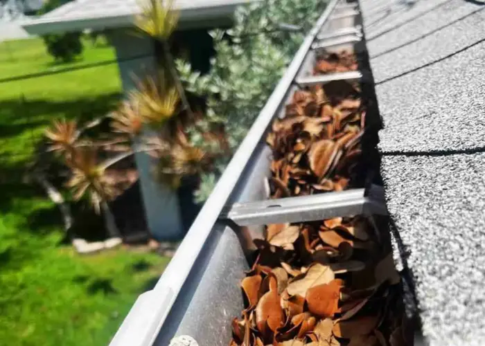 Gutter Cleaning Richmond, Tx home page